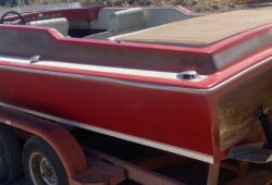 IMG_8627.jpeg &nbsp;