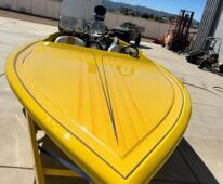 yellow jet  1.jpg &nbsp;