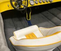 yellow jet  4.jpg &nbsp;